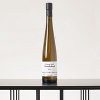 Ebereschenbrand (Vogelbeere)