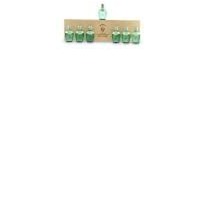 Rochelt - Miniaturen Set mit 7 Flaschen zu je 0.04l