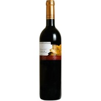 Magister Bibendi Rioja Reserva D.O.Ca. Navarrsot