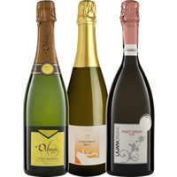 Schaumwein ABO Startpaket