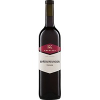 Spätburgunder Gutswein QW 2021/2022 Knobloch Biowein