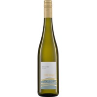 Riesling 100 Hügel QW Immel Biowein