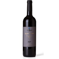 3l Regina Vides Cosecha Especial - Vina Sastre