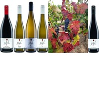 Pfälzer Mix "Neujahr-Angebot