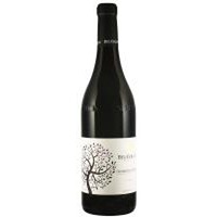 Nebbiolo D Alba La Reala Bel Colle