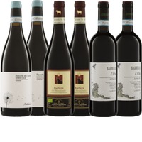 Barbera Dreierlei Probierpaket 6 Flaschen
