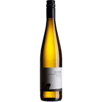Pflüger Sauvignon Blanc vom Quarzit trocken - Weingut Pflüger