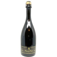 Pinot & Pinot Sekt Extra Brut - Othmar Biegler