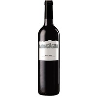 Moncagua Malbec 2018, Belasco de Baquedano