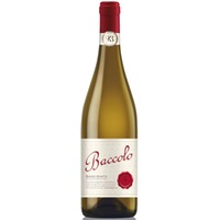 Baccolo Bianco 2024, Cent'Anni
