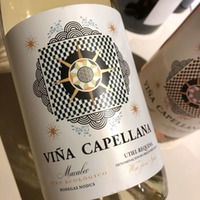 Viña Capellana blanco