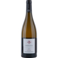 Weissburgunder 350 N.N. Trocken - Weingut Odinstal
