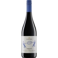Soligo Merlot del Piave Rosso DOC