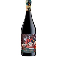 Appassimento Rosso igt Domini Veneti Cantina Negrar