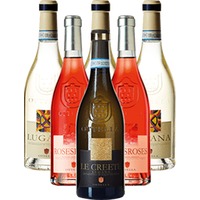 Ottella Lugana Probierpaket 6er Angebot