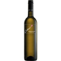 Cobenzl Grüner Veltliner Bisamberg - Wien BIO