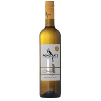 Pongratz Sauvignon Blanc Ried Hochberg Südsteiermark DAC