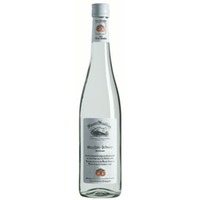 Hauser Tradition Marillenschnaps