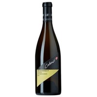 Cobenzl Weißburgunder Ried Seidenhaus- Grinzing 1ÖTW