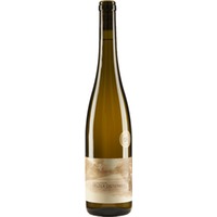 Riesling Auslese halbtrocken Bio - Weingut Bürgermeister Adam Schmitt