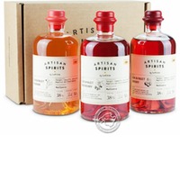 Gin Eva Gin & Fruit Box 1 - 3 Dif. Gins, je Packung