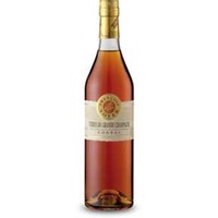 Terres de Grande Champagne 0,7l