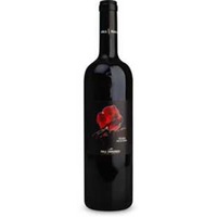 Rote Rose