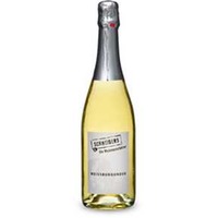 Winzersekt Weißburgunder brut