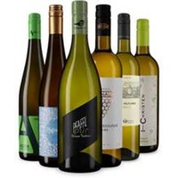 Grüner-Veltliner-Favoriten
