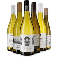 Vergoldete Weißwein-Momente – die Sieger der Berliner Wein Trophy