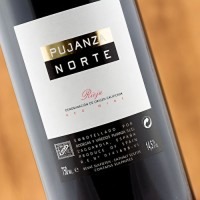 Pujanza Norte