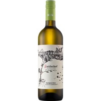 Sauvignon Blanc Südsteiermark DAC