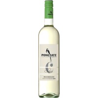 Welschriesling Classic Südsteiermark DAC