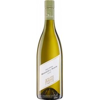 Grüner Veltliner Hund Weinviertel DAC Reserve - Weingut Pfaffl