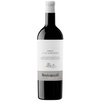 Monteabellón Finca Matambres - Bodegas y Vinedos Monteabellón