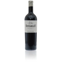 Monteabellon 14 Meses en Barrica 5 Literflasche - Bodegas y Vinedos Monteabellón