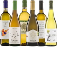 Sommer Spezial Probierpaket Biowein