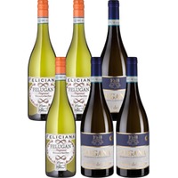 6er-Probierpaket Lugana - Weinpakete