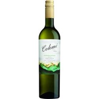 COLOMÉ Torrontés Estate Valle Calchaquí