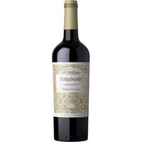 Terra Noble Carmenère Reserva Especial