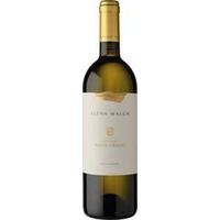 Elena Walch Pinot Grigio Vigna Castel Ringberg