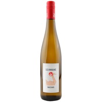 Schwane Bacchus