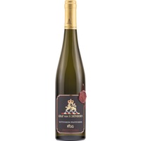 Hattenheim Pfaffenberg Riesling Rhg Großes Gewächs trocken - Domänenweingut Schloss Schönborn