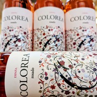 Colorea Rosado