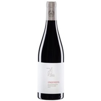 Achs Paul Blaufränkisch Ungerberg BIODYNAMISCH