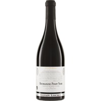 Bourgogne Pinot Noir 'Le Président' AOC Sylvain Loichet Biowein