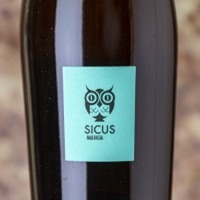 Sicus Malvasía