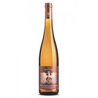 Steinterrassen Riesling 2021 trocken