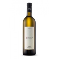 Gamlitzer Sauvignon Blanc 2022 trocken