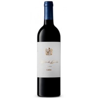 Carm Maria de Lourdes Tinto